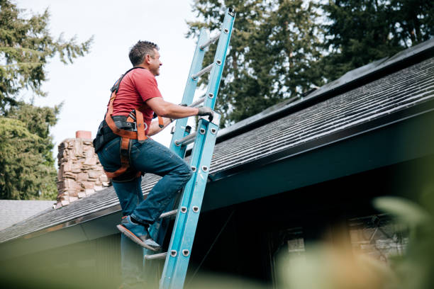 Best Asphalt Shingle Roofing  in East Jordan, MI